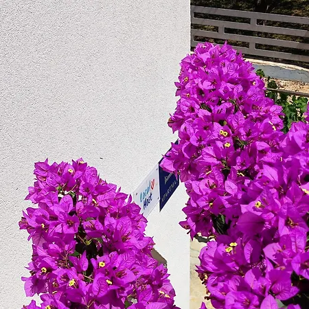 Διαμέρισμα Jolic
