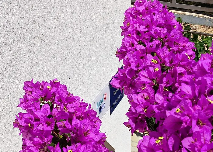 Apartament Jolić